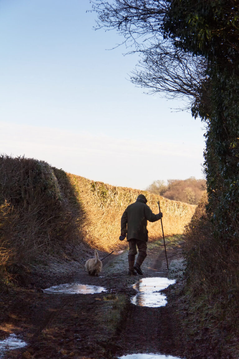 ‘A Walk on the Peaceful Side’