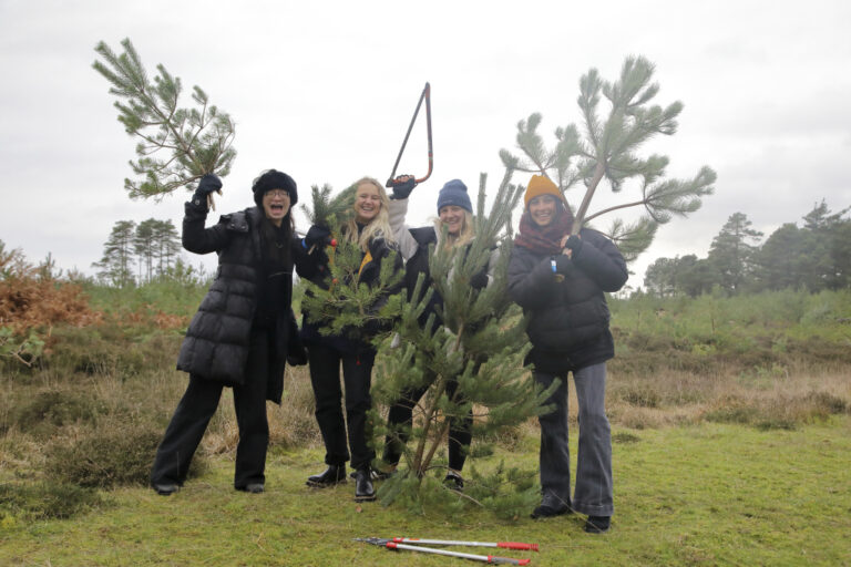 Kickstart Christmas with RSPB Arne’s Pull a Pine weekend