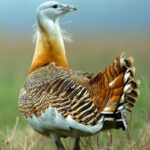 Unwrap Dorset: unique experiences to gift this Christmas