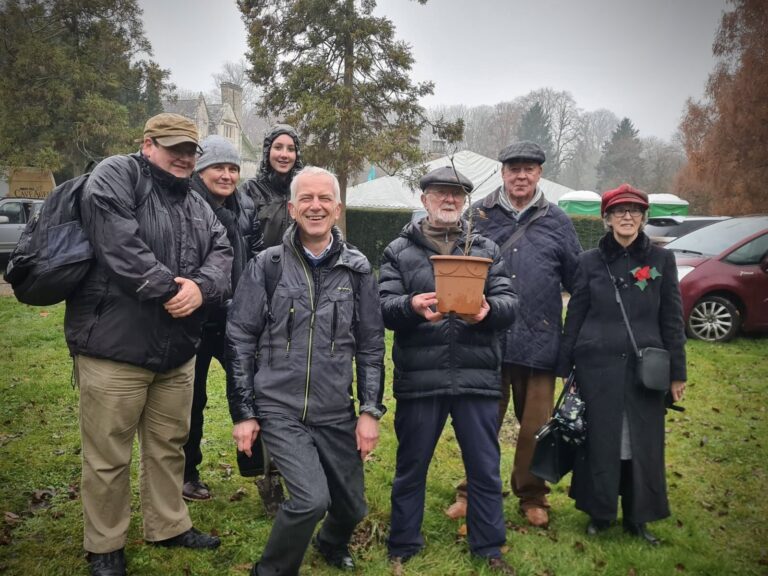 A new William Barnes oak tree for Athelhampton House