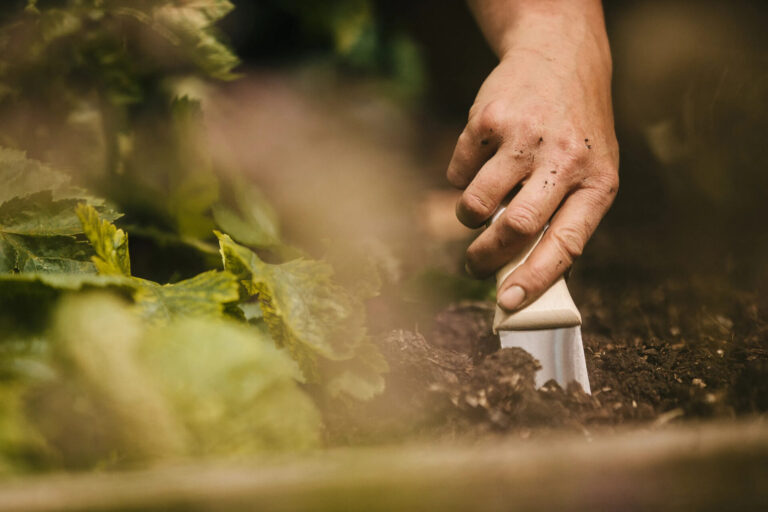 Handpicked brilliant gifts for your gardener!