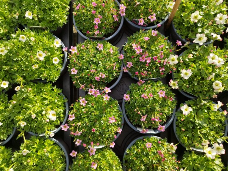 Smash those garden goals!