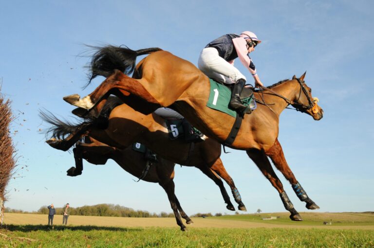 Come racing at Badbury Rings!