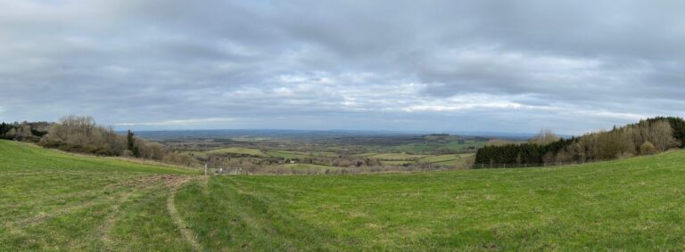 Wherefore the ‘black’ in Blackmore Vale?