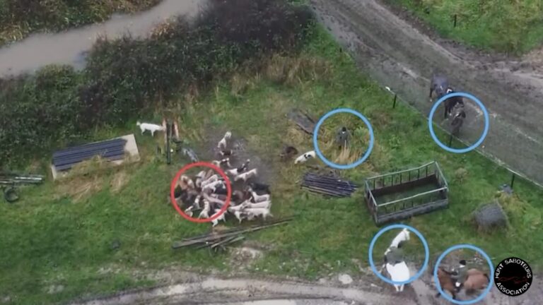 Dorset’s Blackmore & Sparkford Vale Hunt suspended