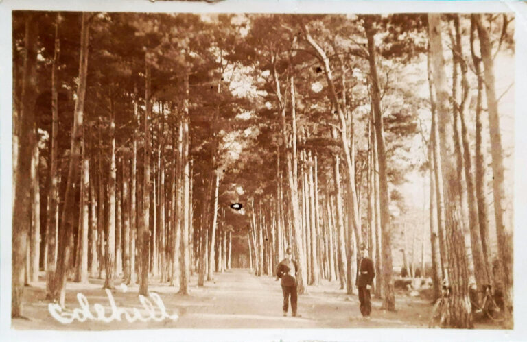 A wander through Colehill Wimborne | POSTCARDS FROM A DORSET COLLECTION