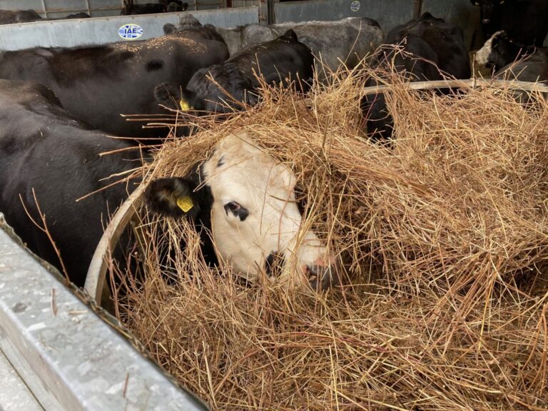 From hedges to hay