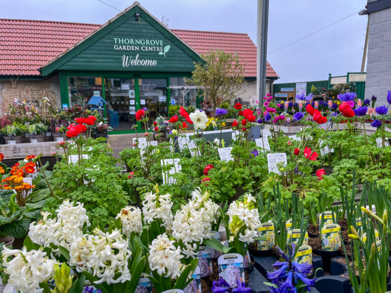 Planting season is upon us!