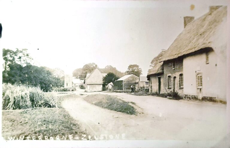 A rare look at Winterborne Zelston
