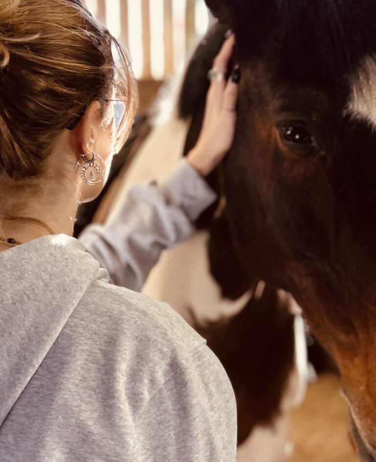 Horse sense from unlikely allies