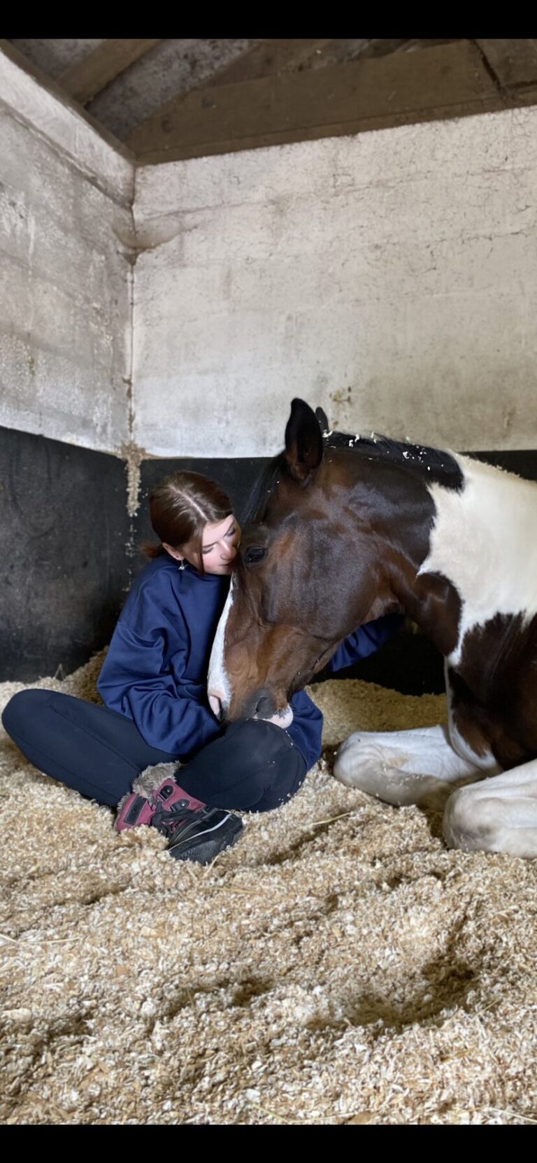 A therapeutic partnership