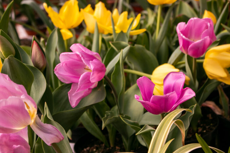 Can we trade April showers for April sunshine, please?