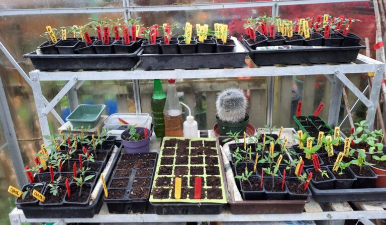 The April diary | The Voice of the Allotment