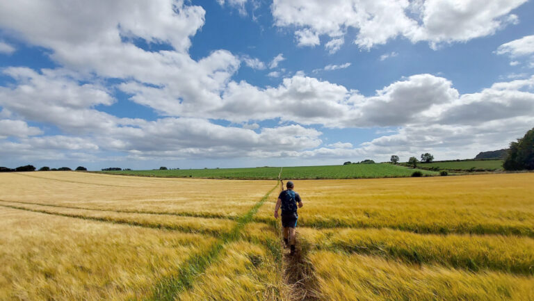 Fighting for (or with!) our footpaths