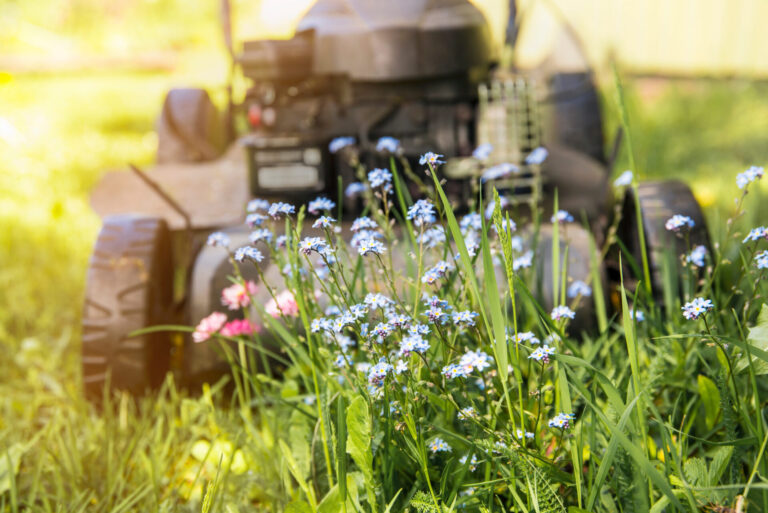 Will you mow in May?