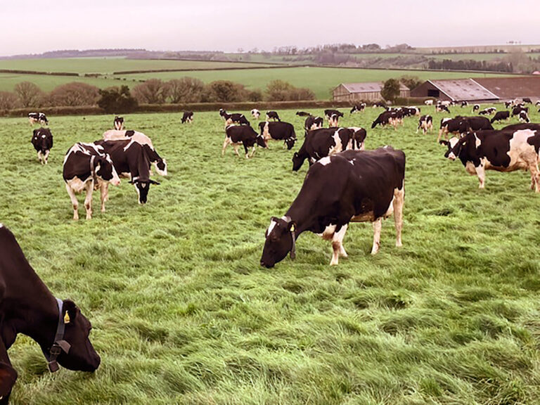 Soggy fields and fresh starts