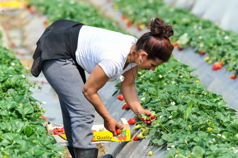 Nabbing the farming vote