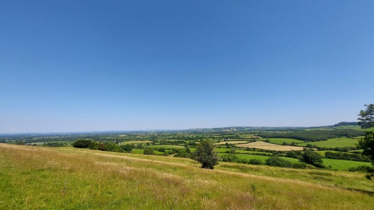 The forgotten art of hedgerow life cycles