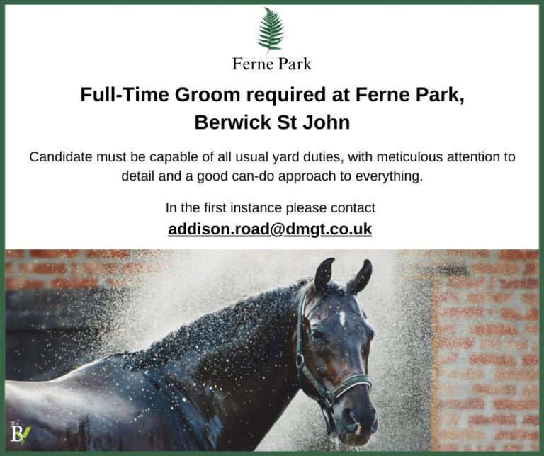 Full-Time Groom required at Ferne Park, Berwick St John