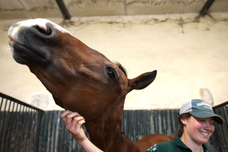 Saddling up for success
