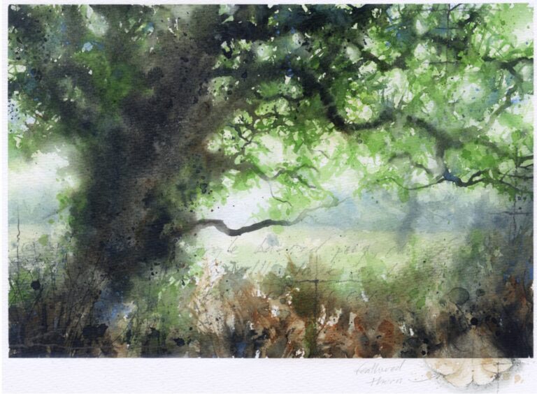 Seeing the wood for the trees
