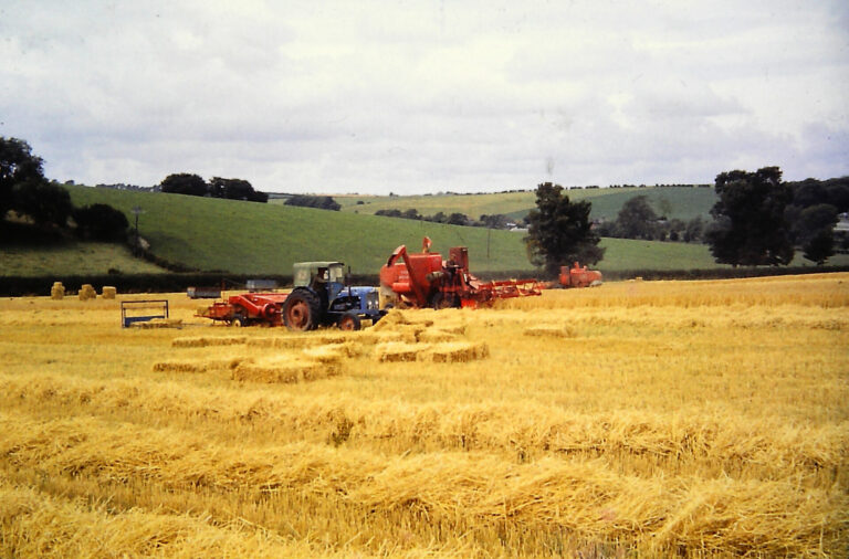 Crops and care at Rawston Farm