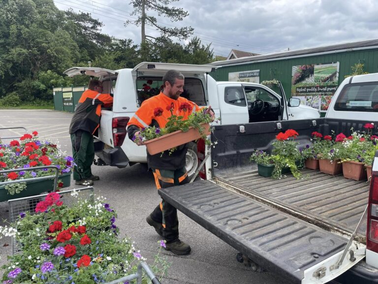 Blooms and Bargains