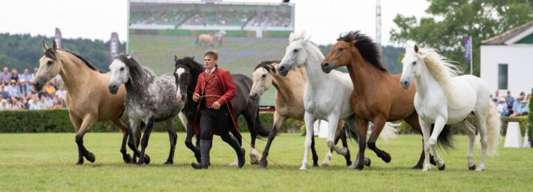 Alpacas to Action Horses … and advocating for children | BV podcast