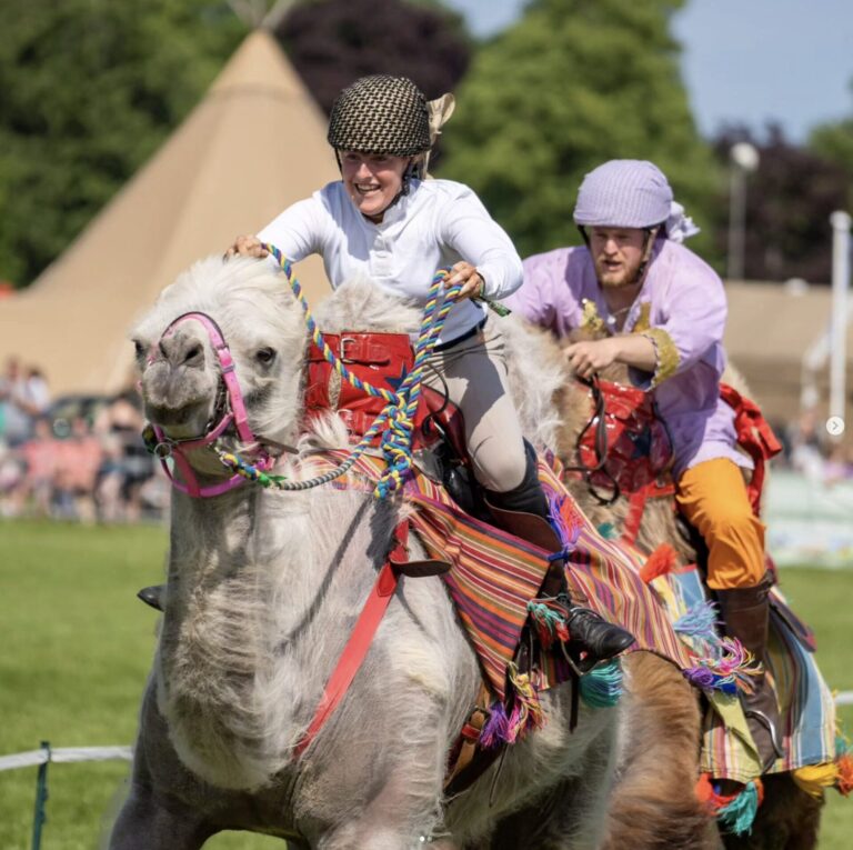 Hoofing good time at the G&S Show Show