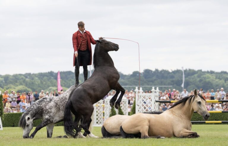 Could this year’s be the best Dorset County Show yet?
