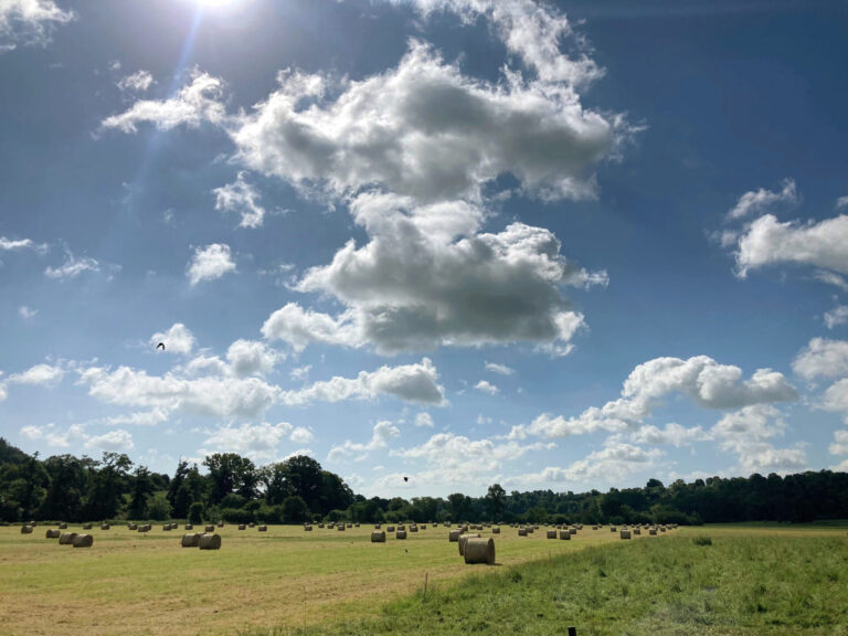 Balancing nature and farming