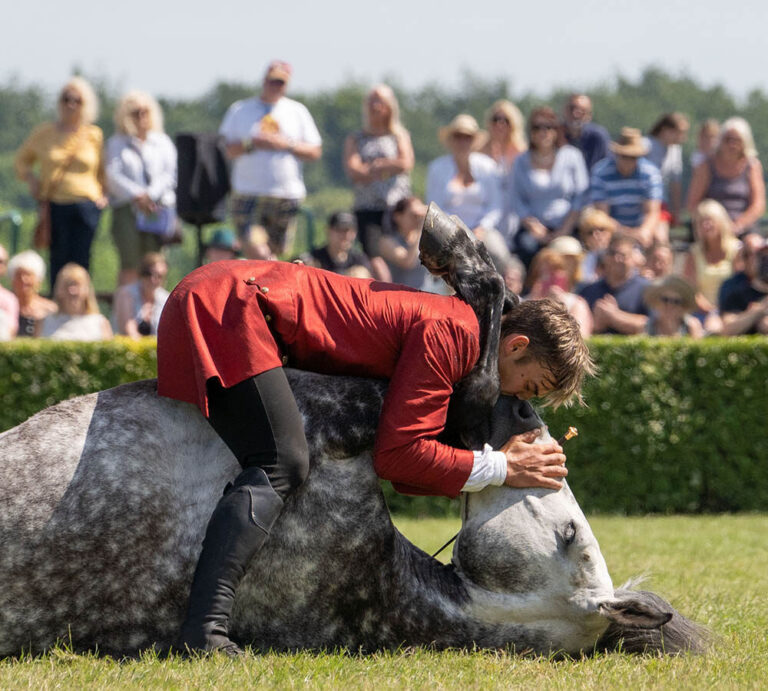 Dorset County Show gallops in with horses, fire and fun