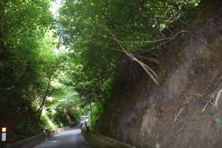 Who is Dinah? Was Dinah’s Hollow near Shaftesbury named after a woman?