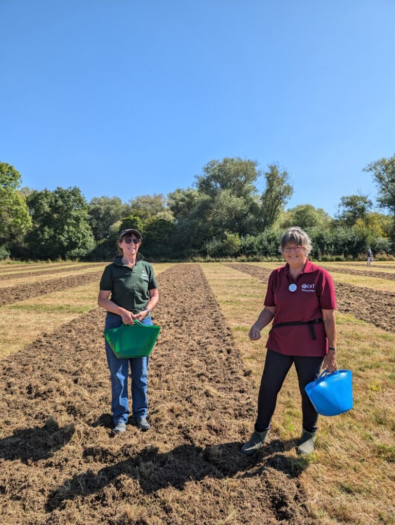 Wildflower planting at conservation farm