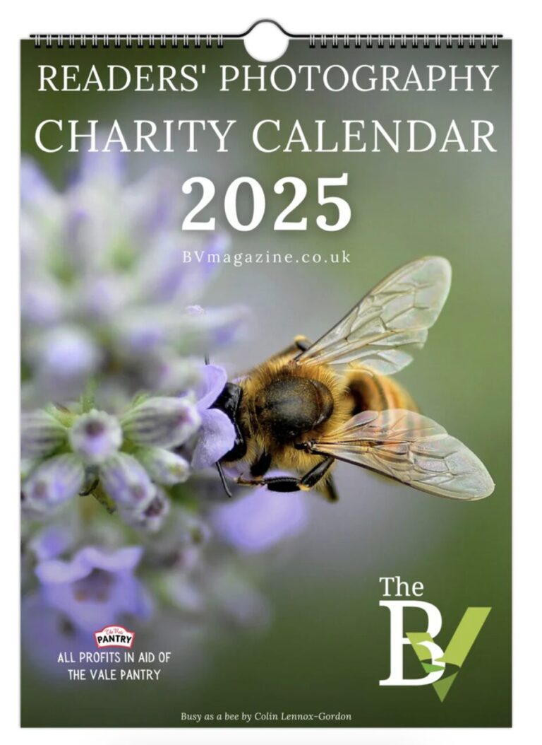 ANNOUNCING The BV Reader’s Photography Charity Calendar 2025