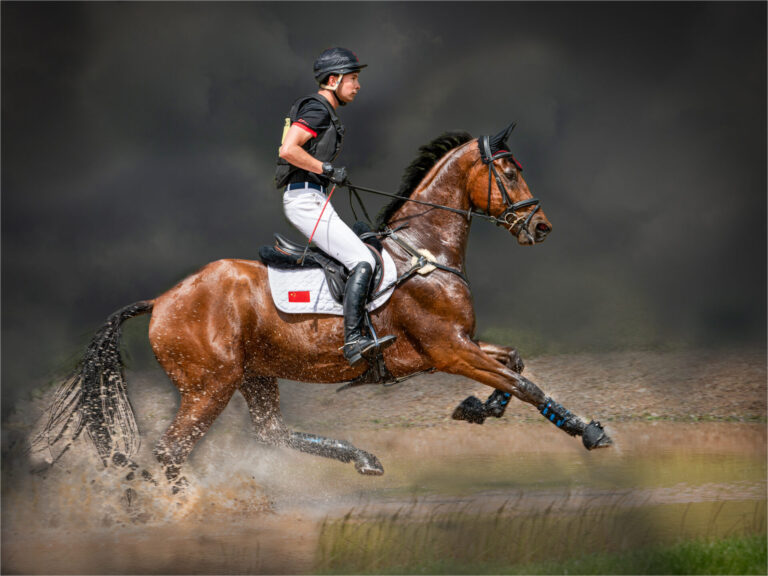 The passion and precision behind the perfect equestrian portrait