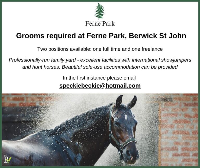 Grooms required at Ferne Park, Berwick St John