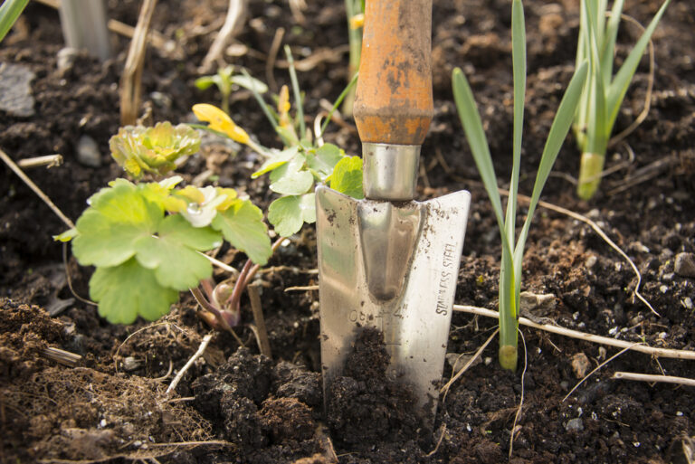 Why dig when you don’t have to?