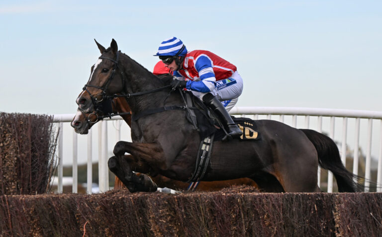Badger Chase Day at Wincanton Racecourse