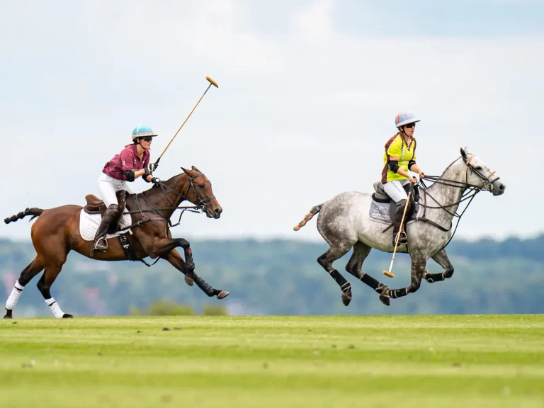 Polo’s back in the saddle