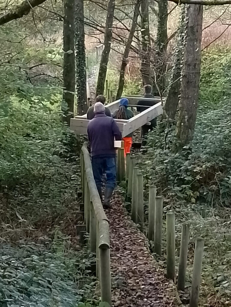 Community effort transforms forgotten footpath