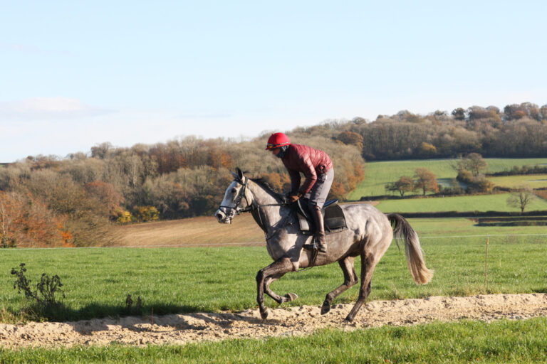 Grassroots to Gold Cups