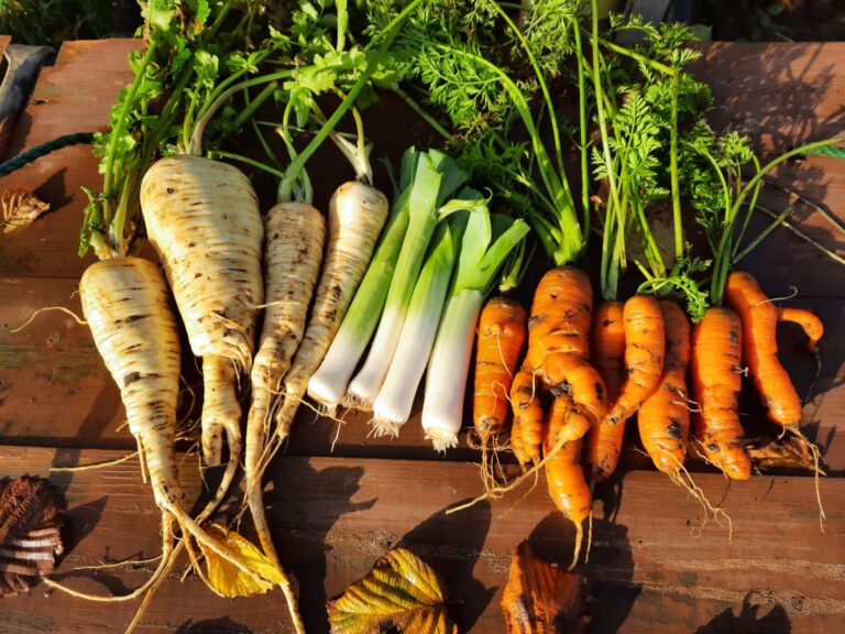 December diary | The Voice of the Allotment