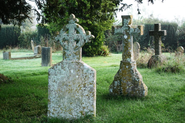 Graveyards: an excuse for weeds or a space that nature needs?
