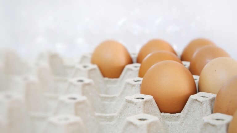 Is it the year of the egg? |Farm Tales