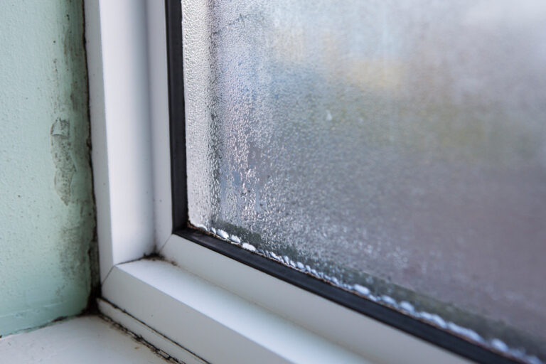 Mouldy tenants?
