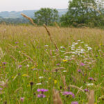 A very boring podcast (that isn’t)