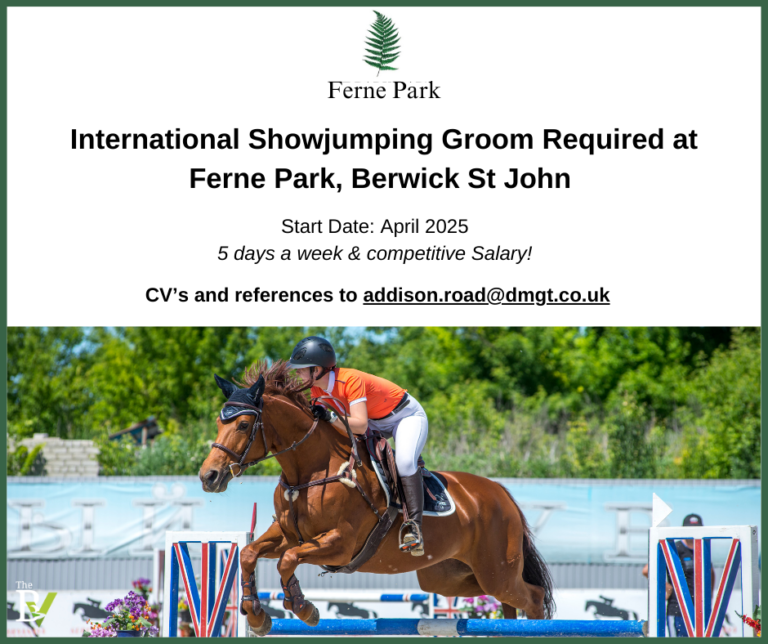 International Showjumping Groom Required at Ferne Park, Berwick St John 