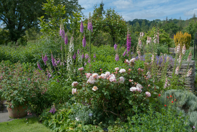 Gardening in the Blackmore Vale: Tips for Growing Local Flower Varieties