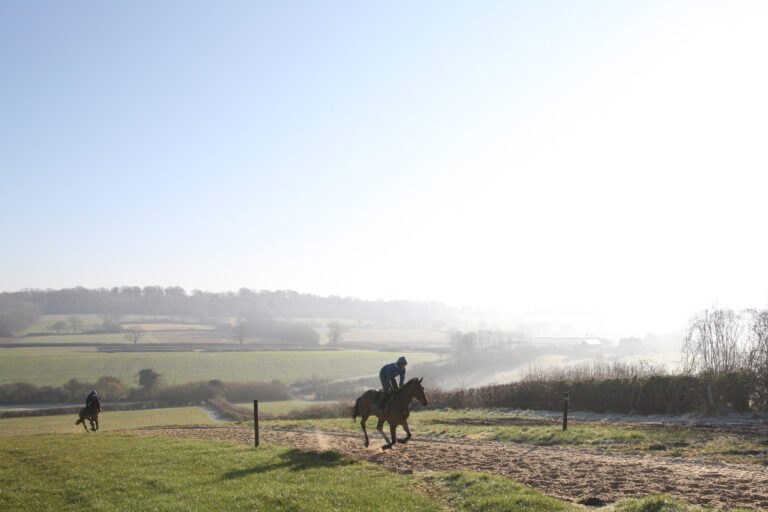 Chris Wald’s insider’s guide to Team Tizzard at Cheltenham